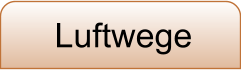 Luftwege
